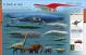 Dinosaurs A Childrens Encyclopedia Thumbnail Image 4