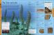 Dinosaurs A Childrens Encyclopedia Thumbnail Image 5
