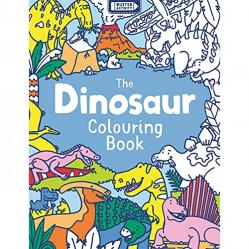 Dinosaur Colouring Book Kmart