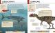 The Ultimate Dinosaur Encyclopedia Thumbnail Image 4