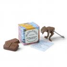 Organic Chocolate with Surprise Toy - PLAYin CHOC Dinosaurs Main Thumbnail