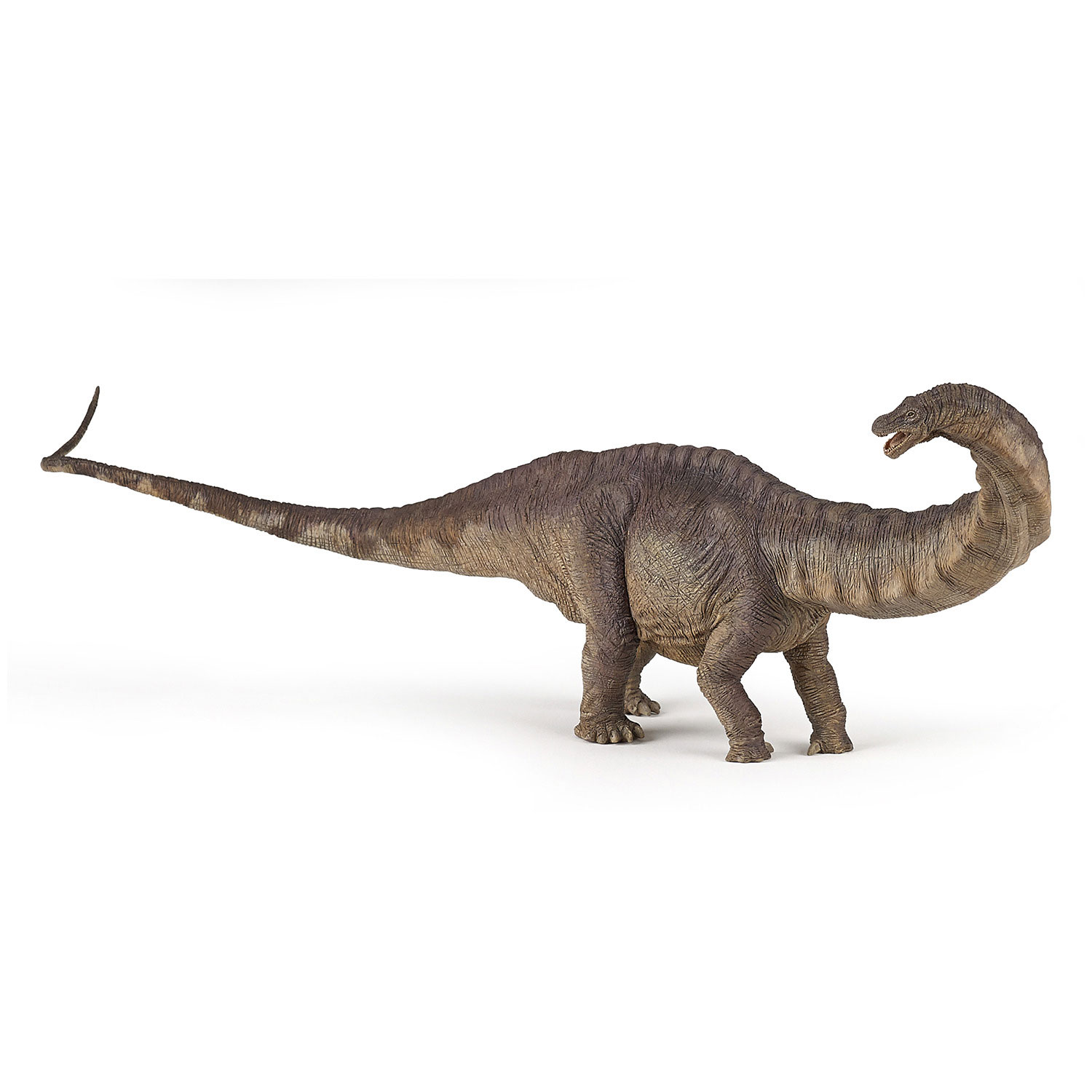 Papo Apatosaurus - Papo Dinosaurs 55039