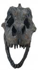 t-rex skull hanging wall sculpture Thumbnail Image 2