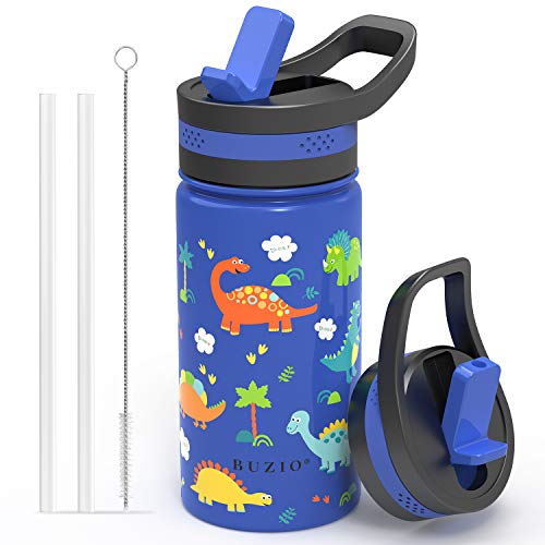 Insulated Childrens Dinosaurs Water Bottle