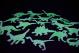 24 x Glow in the Dark Dinosaurs and Stars 3D Stickers Thumbnail Image 2