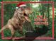 grandson christmas card – dinosaur - jurassic world - full colour inside Thumbnail Image 1