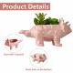 cute triceratops ceramic flowerpot with drain hole Thumbnail Image 2