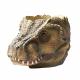 t-rex head flower pot for indoors or outdoors Thumbnail Image 1