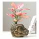 t-rex head flower pot for indoors or outdoors Thumbnail Image 3