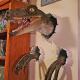 velociraptor wall mount with claws Thumbnail Image 3