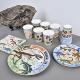 dinosaur party fossil tableware set for 16 guests Thumbnail Image 2