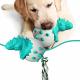 Rubber Dinosaur in Egg Dog Toy - Small Dogs - LVGPH Thumbnail Image 1