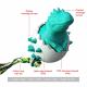 Rubber Dinosaur in Egg Dog Toy - Small Dogs - LVGPH Thumbnail Image 5