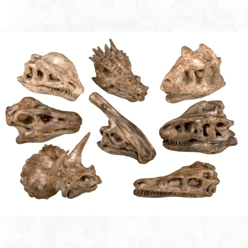 24 Dinosaur Fossil Pencil Toppers