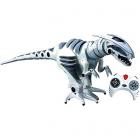 roboraptor with robot dinosaur remote control  Main Thumbnail