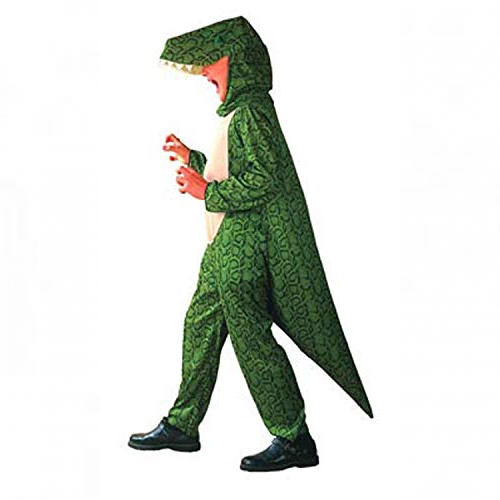 dinosaur kids fancy dress costume age 4-6