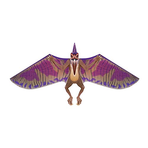  windnsun 71003 dinosoar pterodactyl kite, multi