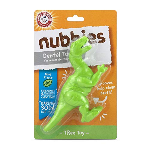 Nubbies T-rex Dental Toy for Dogs Mint Flavor - Arm & Hammer