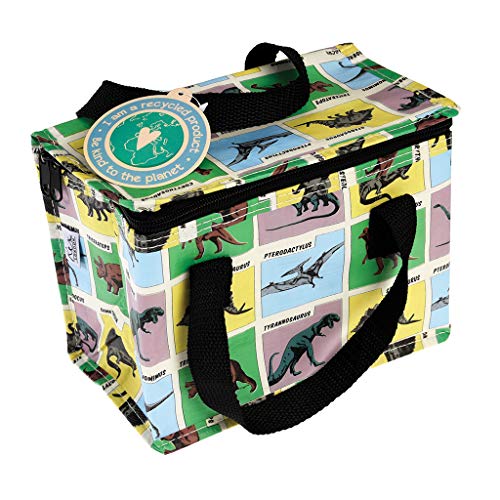 childrens dinosaurs insulated lunch bag