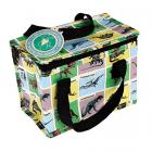 childrens dinosaurs insulated lunch bag Main Thumbnail