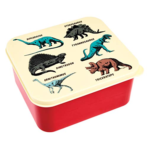 bpa free dinosaur lunch box