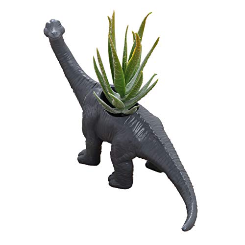 grey brachiosaurus indoor plant pot
