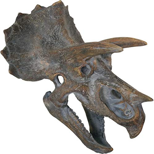 triceratops skull wall mount