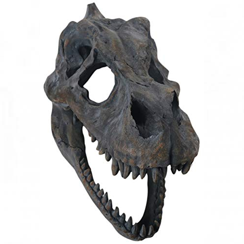 t-rex skull hanging wall sculpture