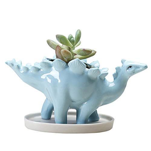 ceramic stegosaurus plant pot