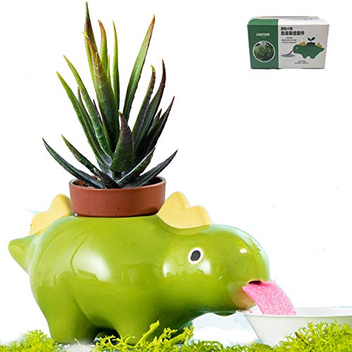 self watering dinosaur plant pot 