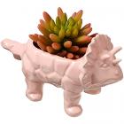 cute triceratops ceramic flowerpot with drain hole Main Thumbnail