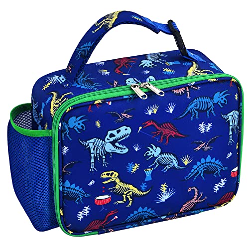 insulated waterproof dinosaur fossils lunch bag