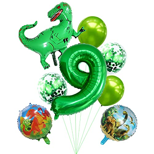 9th birthday dinosaur balloons x 9