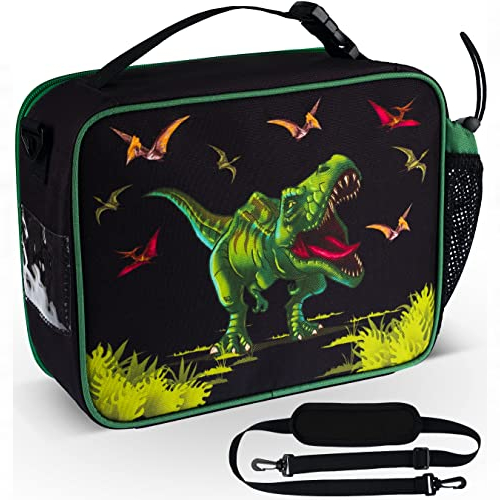 insulated kids dinosaur lunch bag with bottle holder