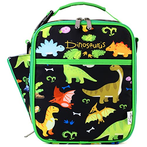 dinosaurs reusable insulated lunch bag