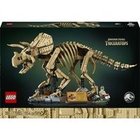 LEGO Jurassic World Dinosaur Fossils Triceratops Construction Set 77985 Main Thumbnail