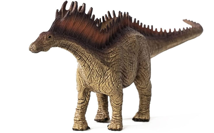 amargasaurus: herbivorous dinosaur which lived in the cretaceous era