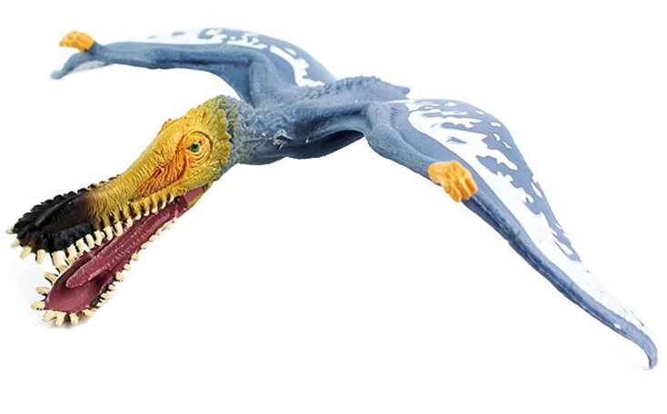 anhanguera: piscivorous dinosaur which lived in the cretaceous era