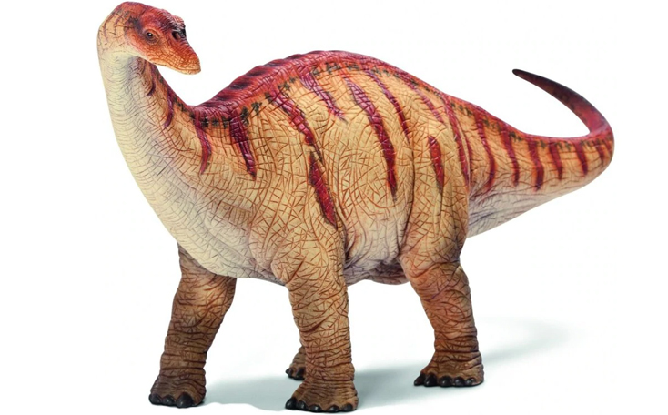 apatosaurus: herbivorous dinosaur which lived in the jurassic era