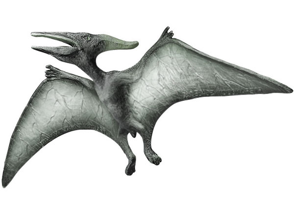 pteranodon: carnivorous dinosaur which lived in the cretaceous era