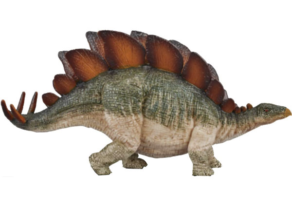 stegosaurus: herbivorous dinosaur which lived in the jurassic era