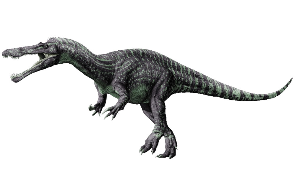Suchomimus Suchomimus