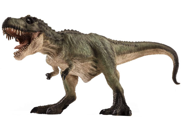 t-rex: carnivorous dinosaur which lived in the  era