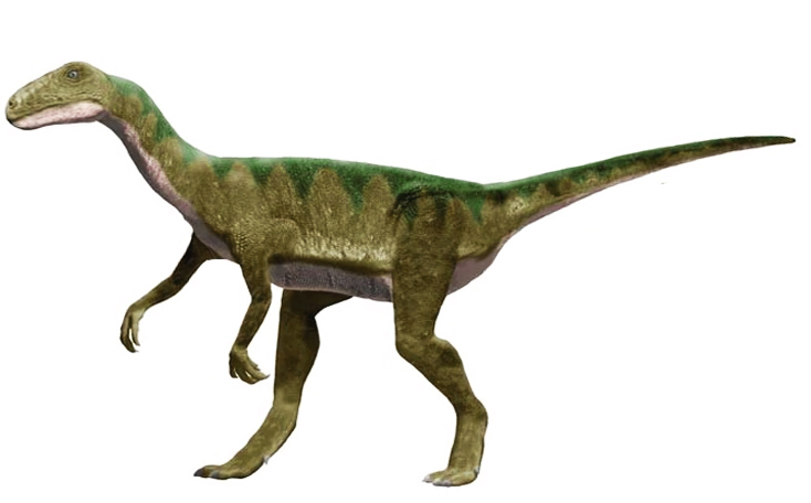 thecodontosaurus: herbivorous dinosaur which lived in the triassic era