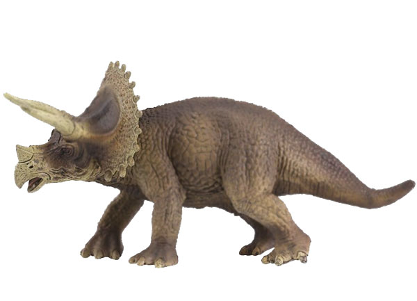 triceratops: herbivorous dinosaur which lived in the cretaceous era