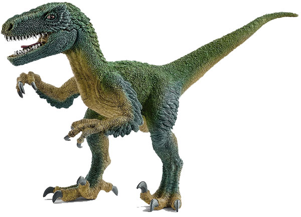 velociraptor: carnivorous dinosaur which lived in the cretaceous era
